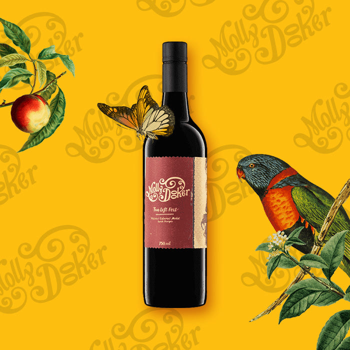 2022 Two Left Feet - Shiraz/Cabernet/Merlot